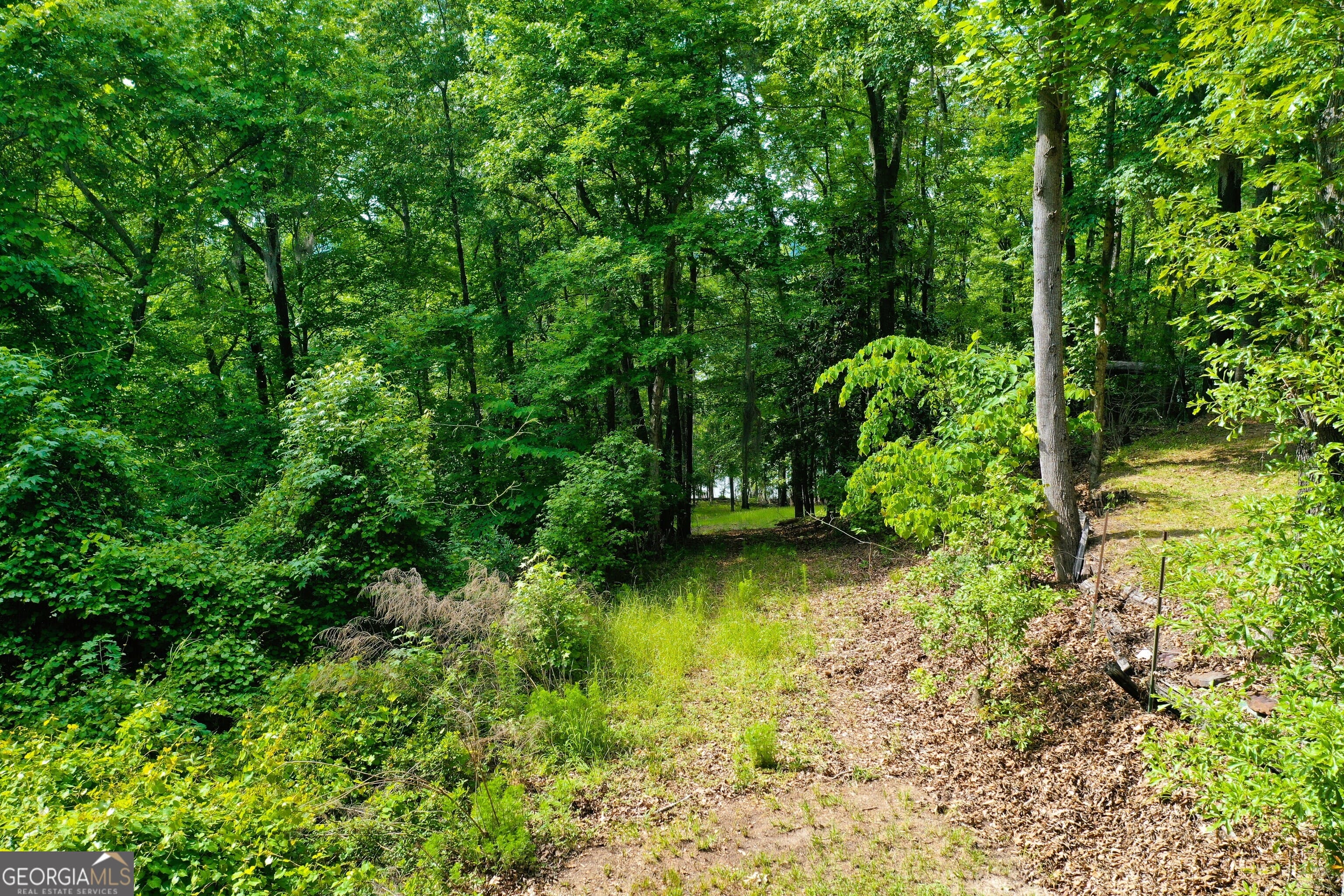 0 Watson Rd, Georgetown, GA 39854