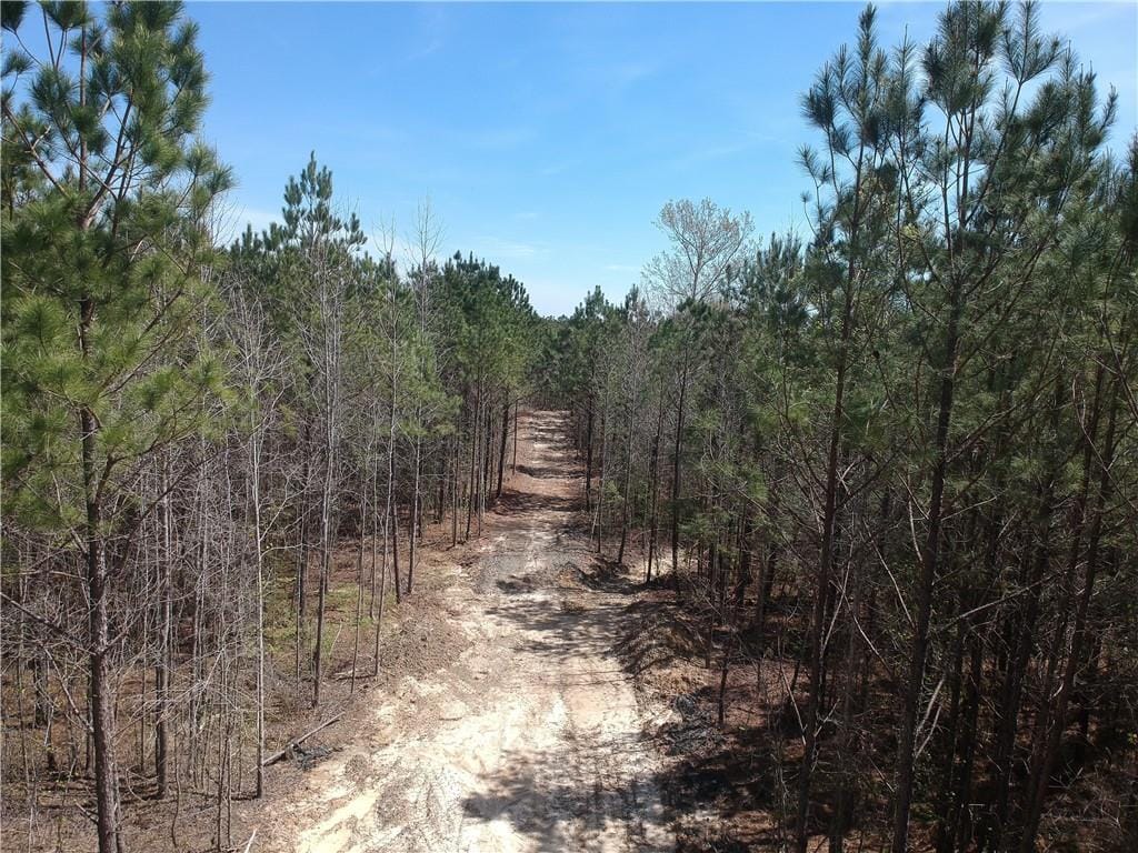 377 Ridge Road, Seale, AL, 36875