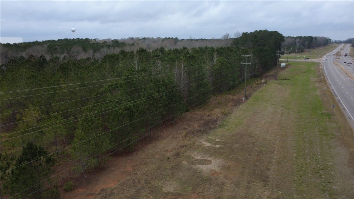 0 US HIGHWAY 231, Brundidge, AL, 36010 — Photo 2