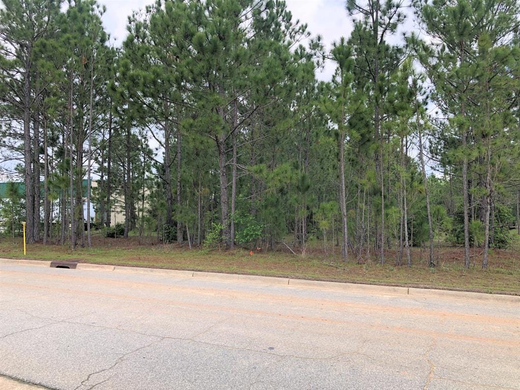 105 Industrial Blvd, Sylvester, GA 31791
