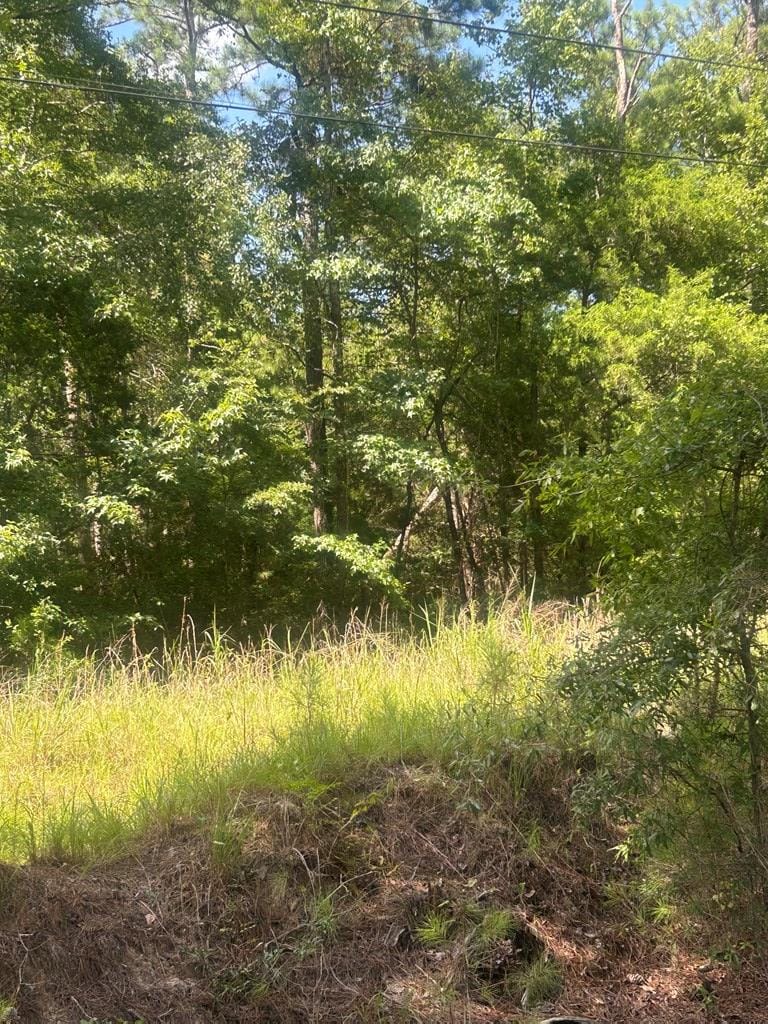 999 Highway 0315 East, Waverly Hall, GA, 31831