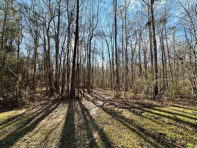 Lot 16 Oak Ridge Drive, Waverly Hall, GA, 31831