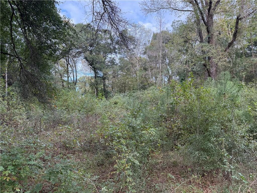 0 Owens & McLendon Rd, Fort Mitchell, AL, 36856