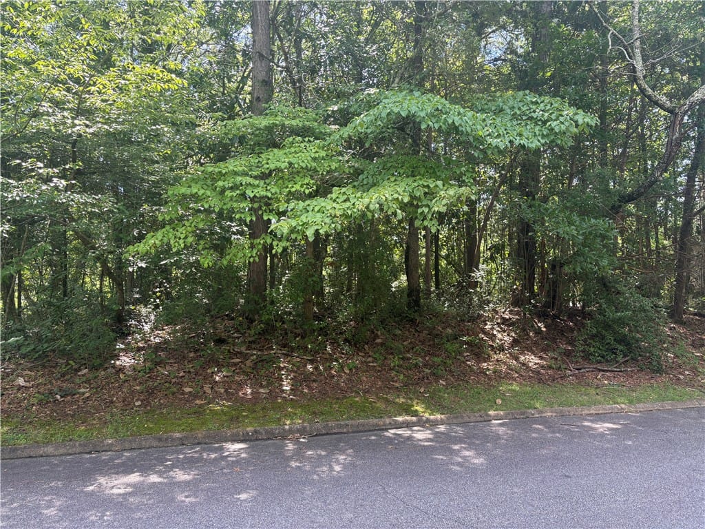 1405 Scott St, Opelika, AL 36801, USA, A tranquil wooded lot offering a private setting.