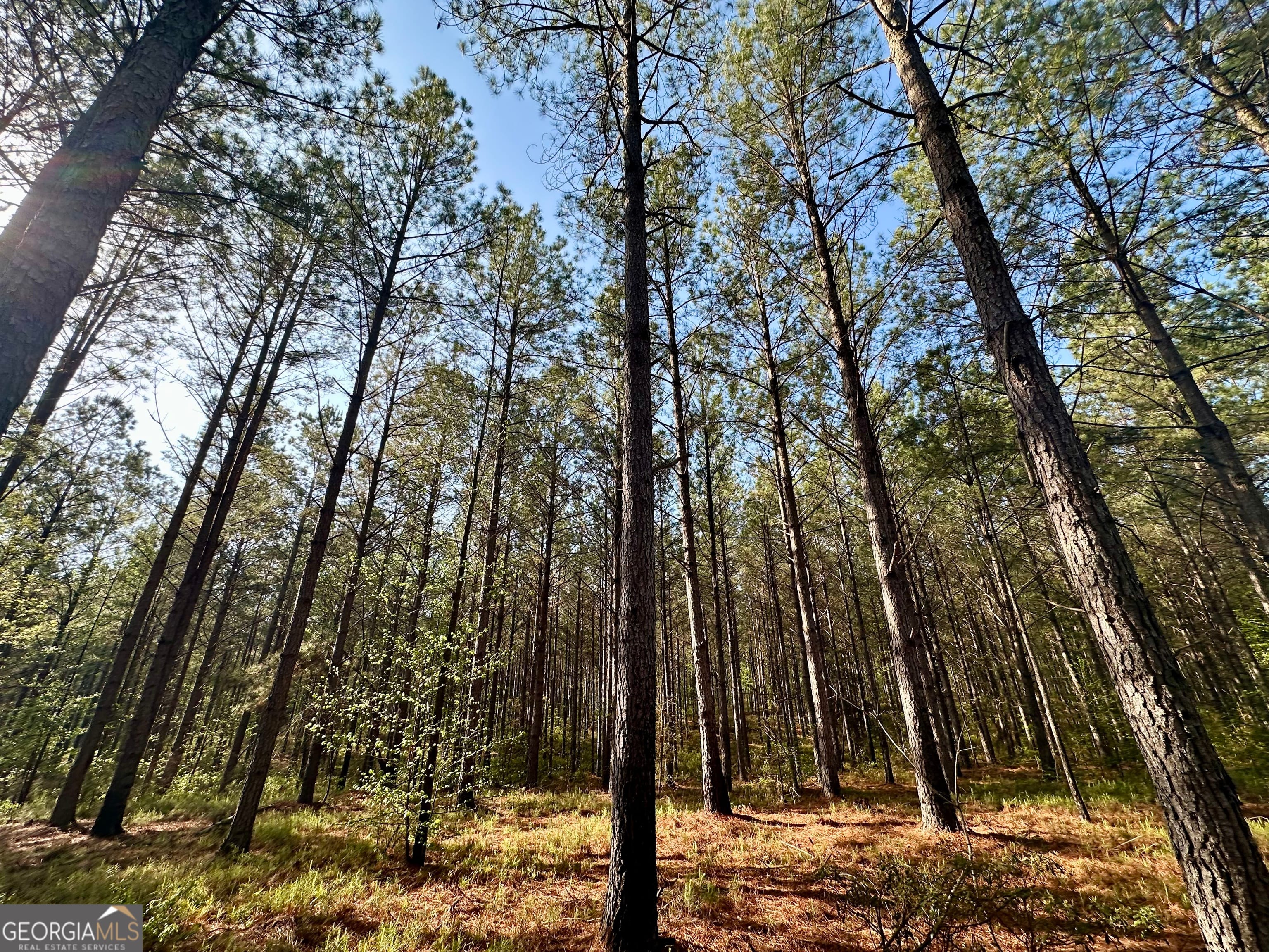 0 J.W. Dunn, Warm Springs, GA, 31830