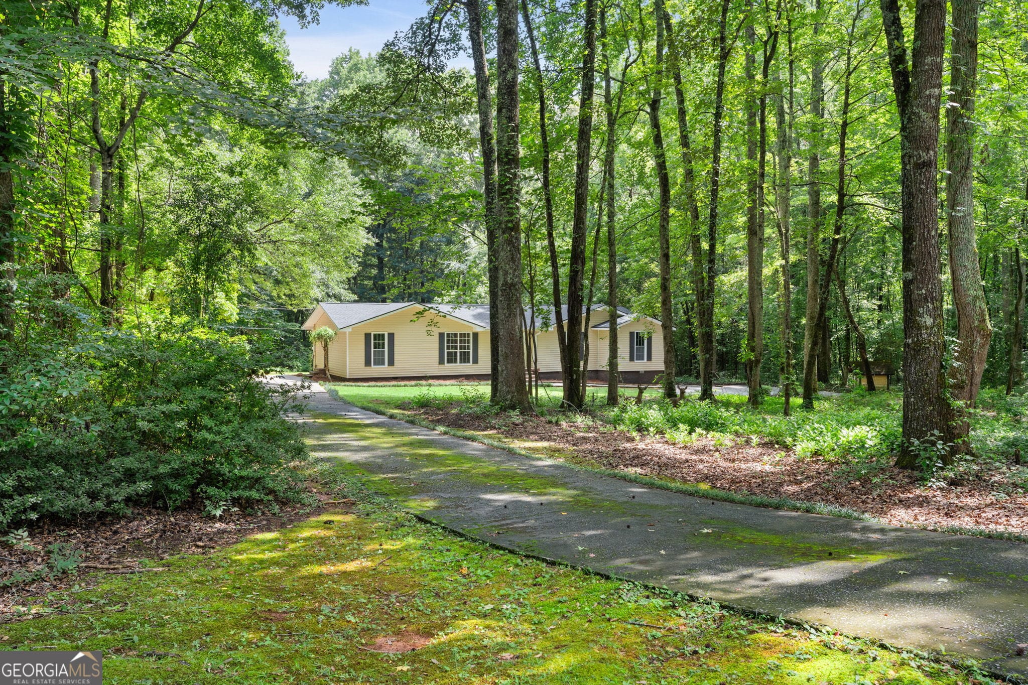 419 Marcella Ave, Sharpsburg, GA 30277