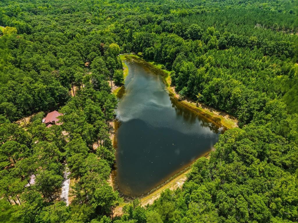 1202 Eddie Martin Road, Buena Vista, GA, 31803