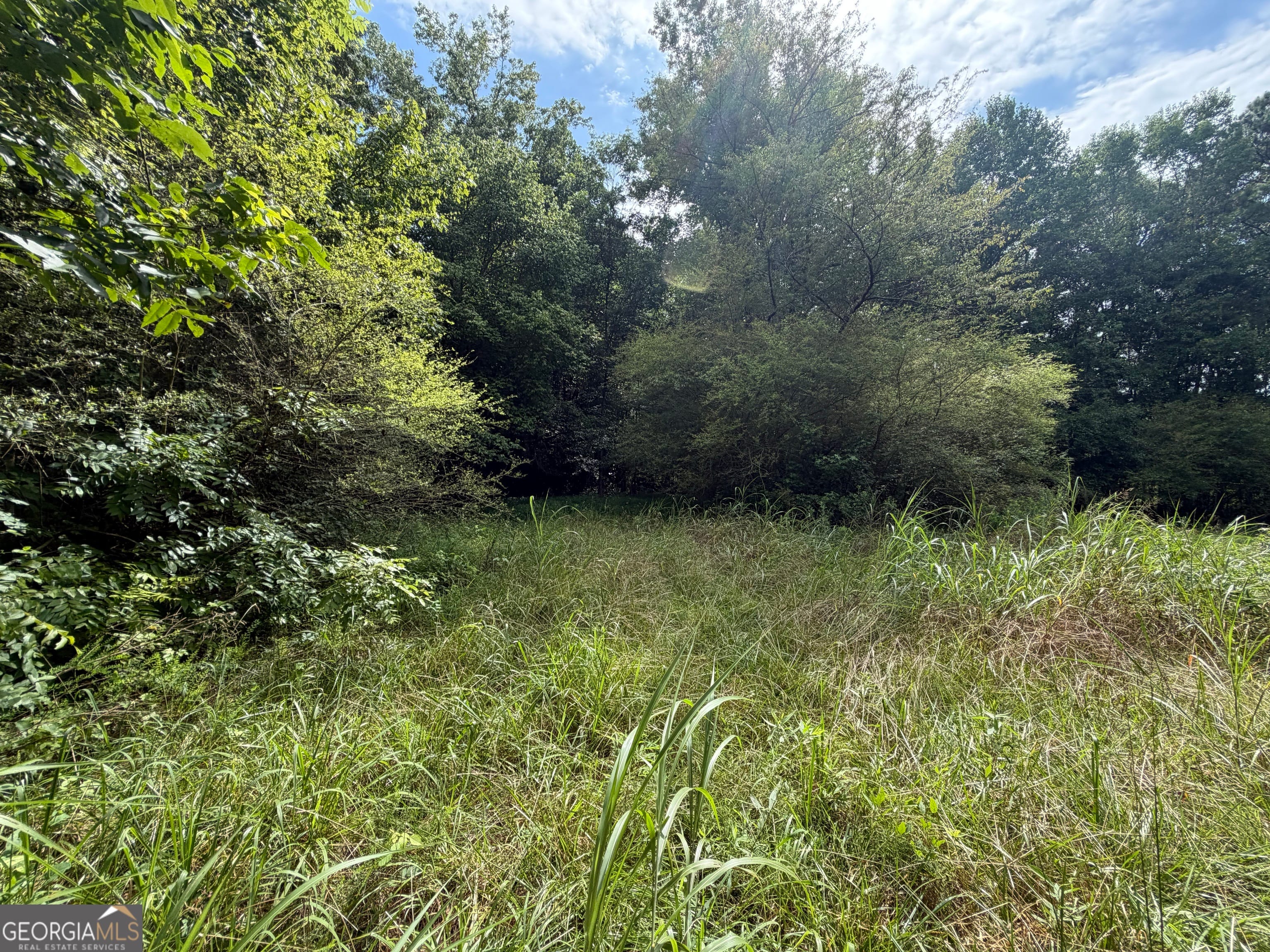 0 County Road 82, Newell, AL, 36280