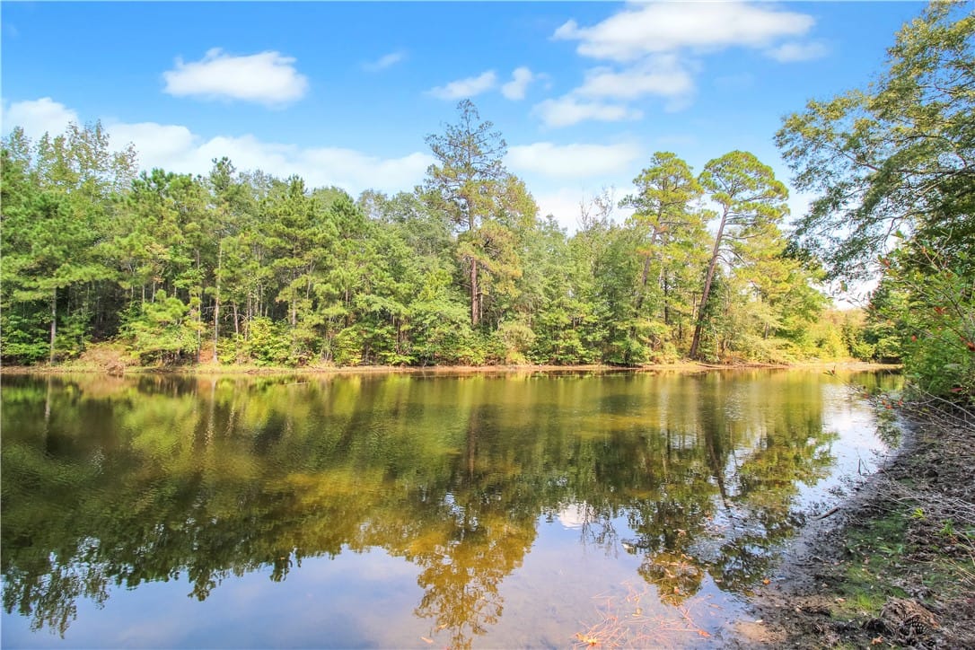 1004 LEE ROAD 157, Opelika, AL, 36804