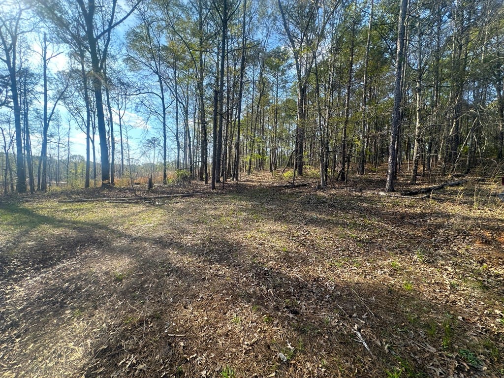 Lot 19 Highway 0085, Waverly Hall, GA, 31831 — Photo 3