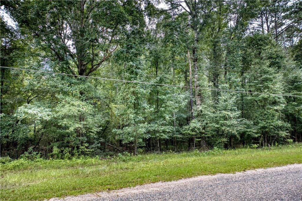 0 Kathleen Circle, Phenix City, AL, 36869 — Photo 3