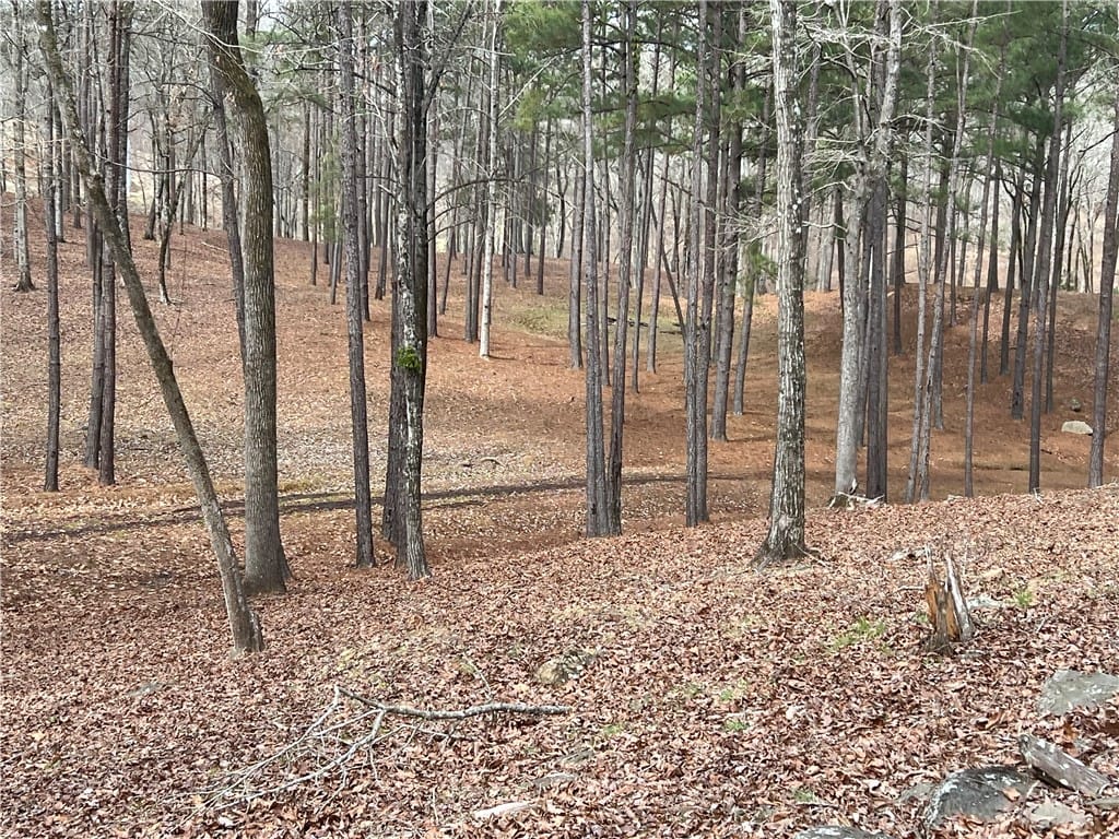 0 PRESTWICK, Phenix City, AL, 36867 — Photo 2