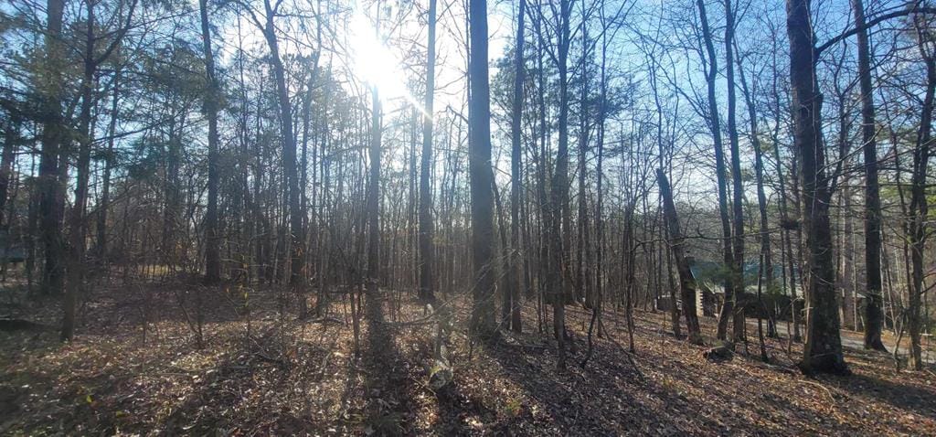 LOT 12 Mountain Shadows Road, Hamilton, GA, 31811