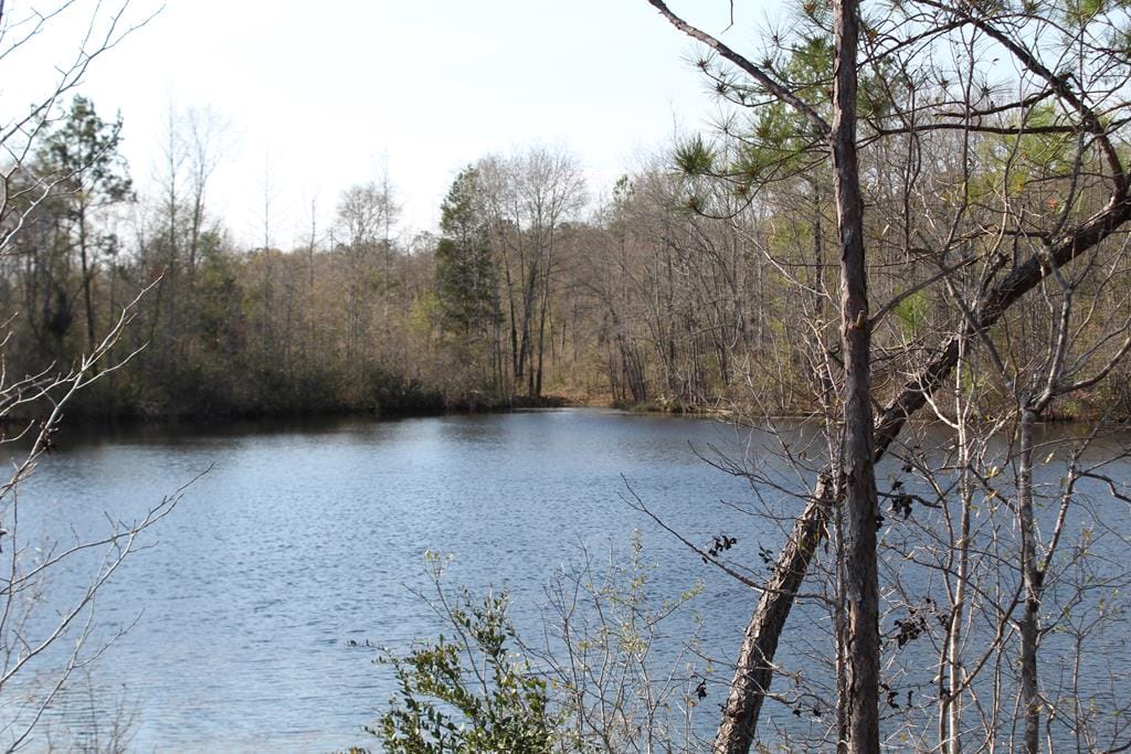 999 Gun Club Road, Box Springs, GA, 31801