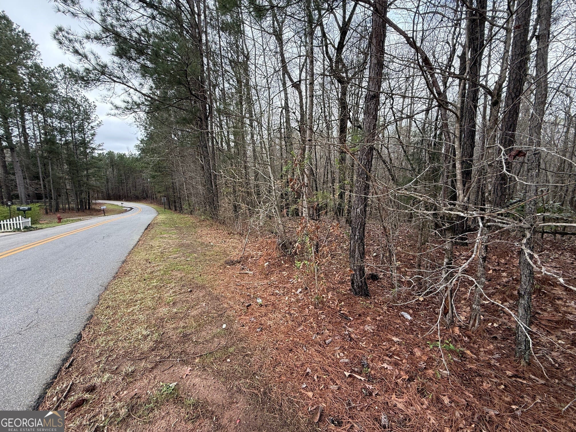 0 Cheryl St, Luthersville, GA 30251