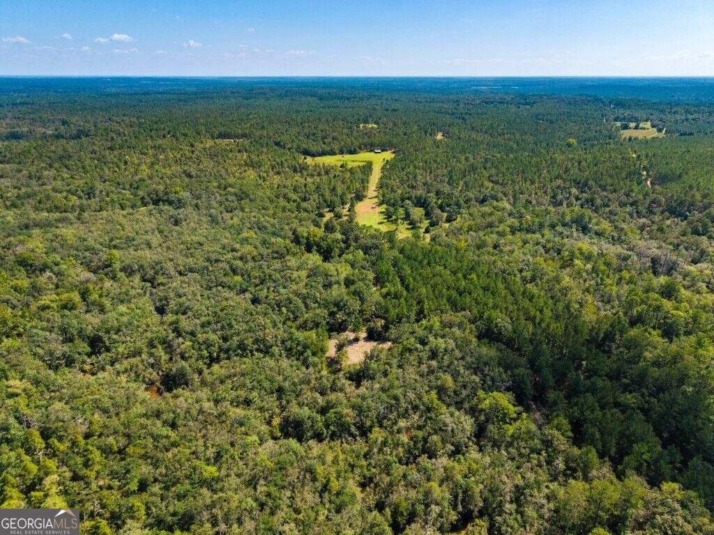 257 Carpenter Rd, Rupert, GA 31081