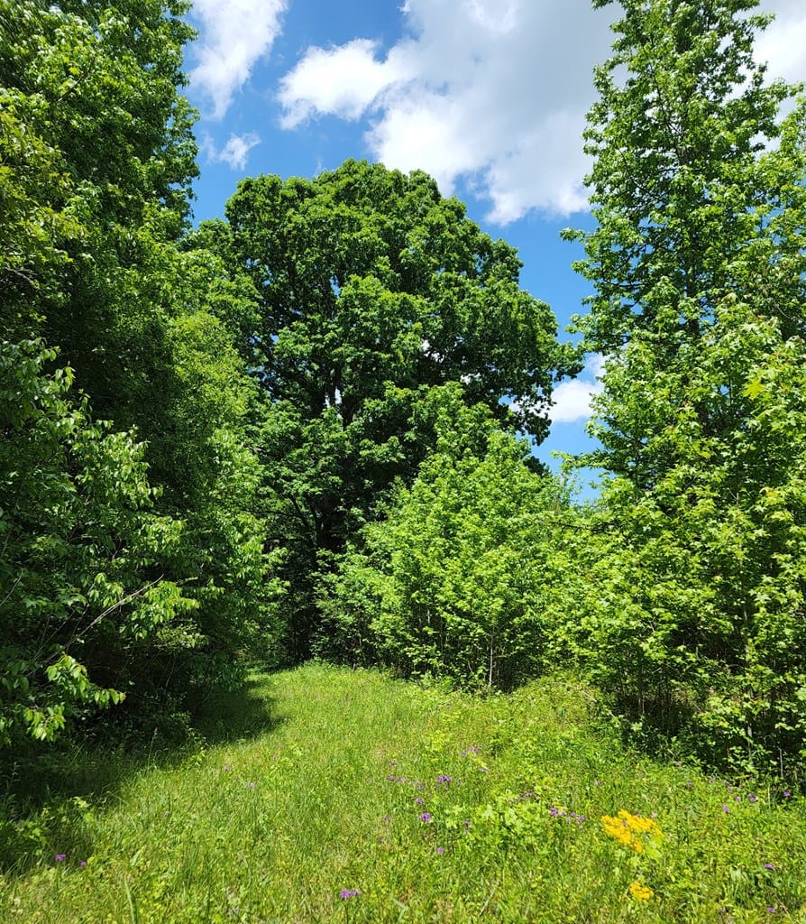 0 L Street, Pine Mountain Valley, GA, 31823 — Photo 2