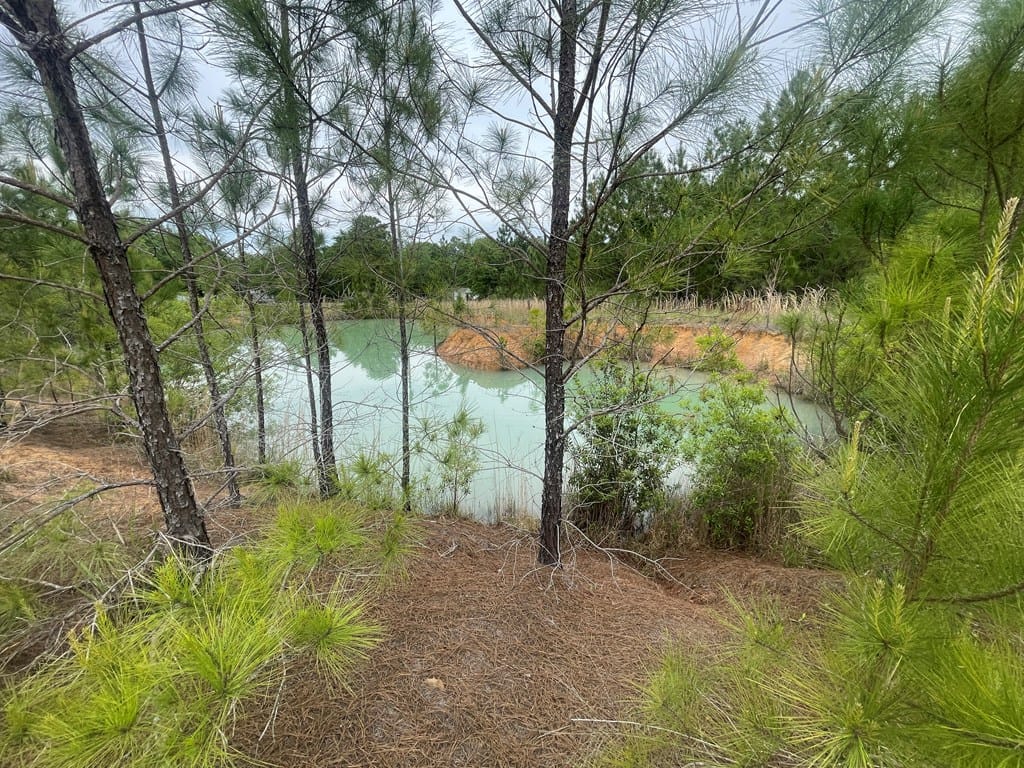 2691 Amboy-Rebecca Road, Rebecca, GA, 31783 — Photo 3