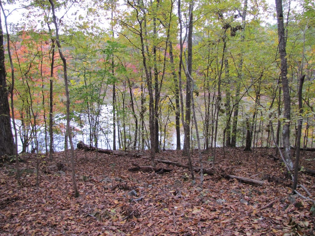 0 Sturges Road, Fortson, GA, 31808 — Photo 2