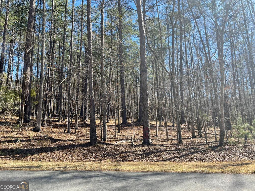LOT 149 Piedmont Lake, Pine Mountain, GA, 31822