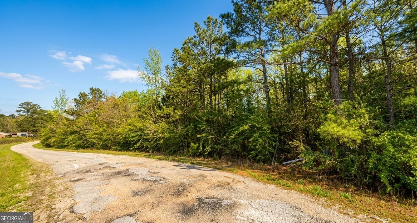 0 Old Franklin Rd, Tuskegee, AL 36083, USA