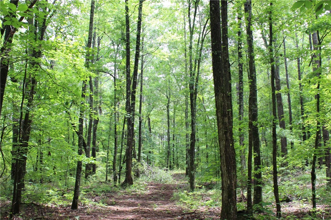 0 EAST MILL, Goodwater, AL, 35072