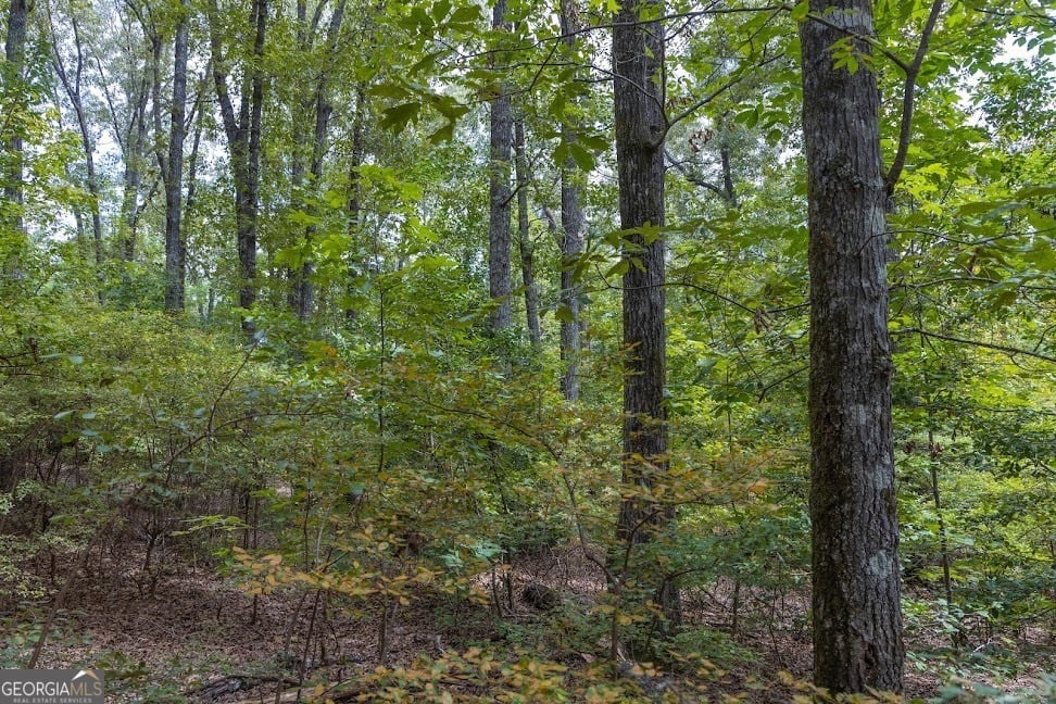 50+/- ACRES Pineville, Buena Vista, GA, 31803