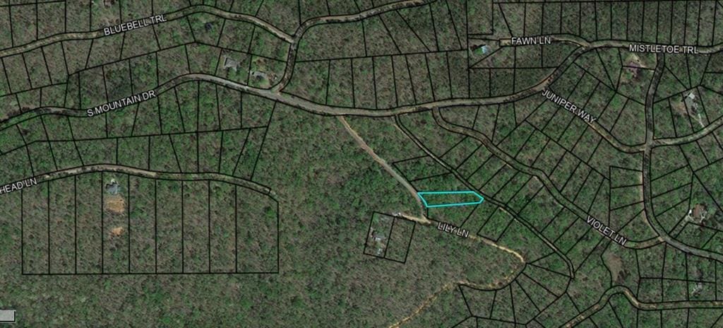 BLK 43 LOT 03 Lilly Lane, Waverly Hall, GA, 31831