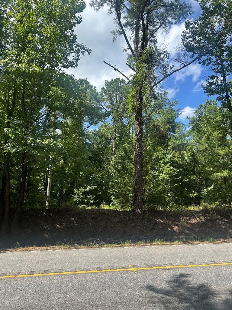 999 Highway 0315 East, Waverly Hall, GA, 31831