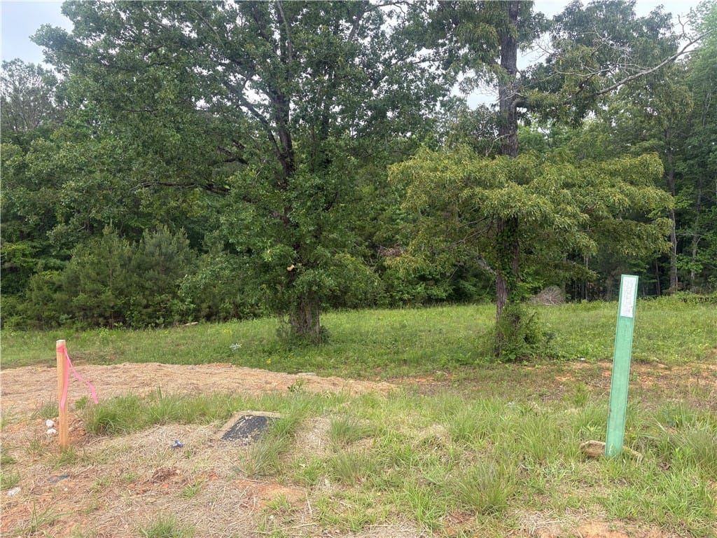 815 Summerlin Dr, Auburn, AL 36830, A tranquil lot with mature trees, perfect for buil