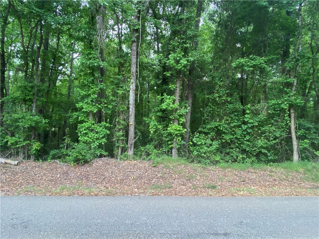 5973 Lee Road 70, Waverly, AL 36879
