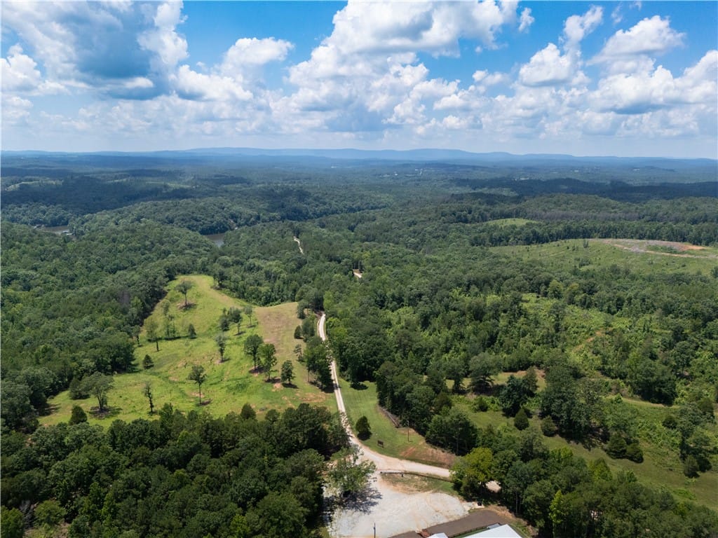1310 Co Rd 269, Wedowee, AL 36278