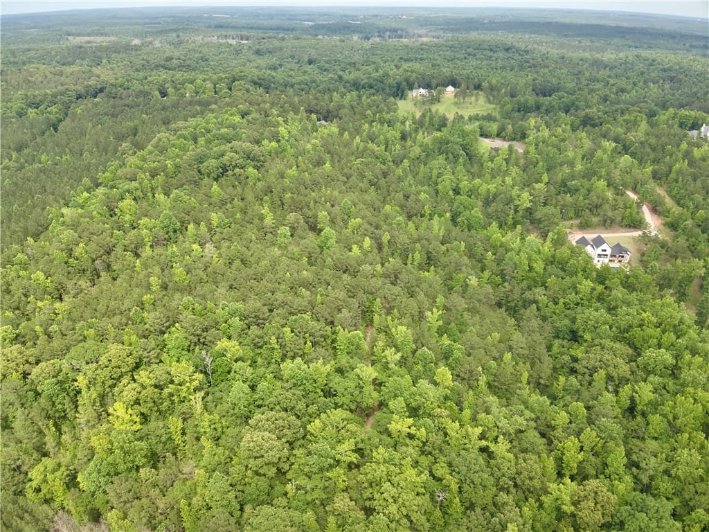 0 LEE ROAD 188, WAVERLY, AL, 36879 — Photo 3