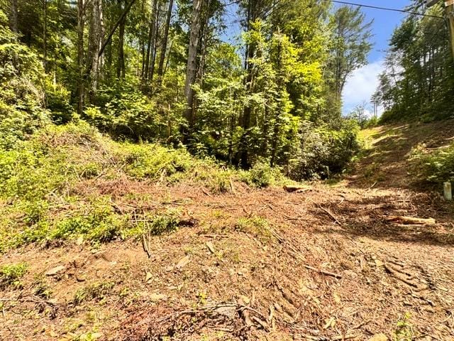 0 Grassy Mountain Road, Ellijay, GA, 30540, Potential home site with views