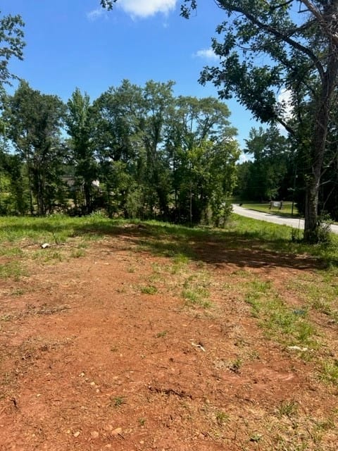 6476 Alabama 49, Dadeville, AL, 36853 — Photo 2