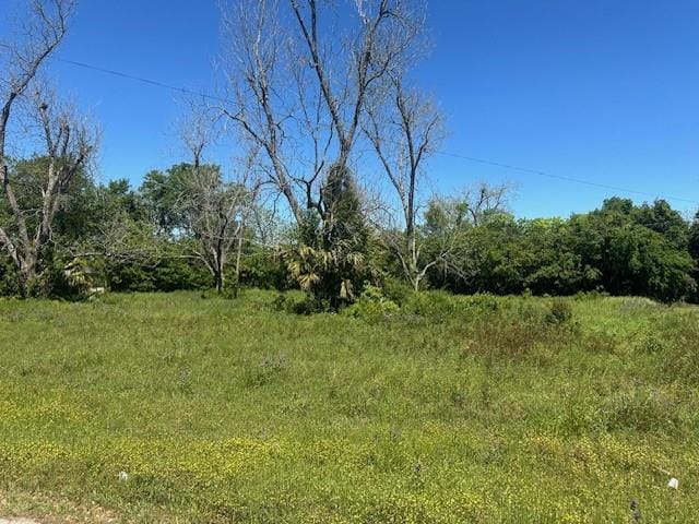 000 4th Street, Donalsonville, GA, 39845 — Photo 3