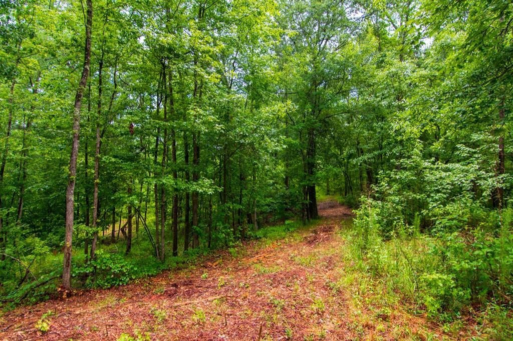 0 Morgan Copeland Road, Hamilton, GA, 31811