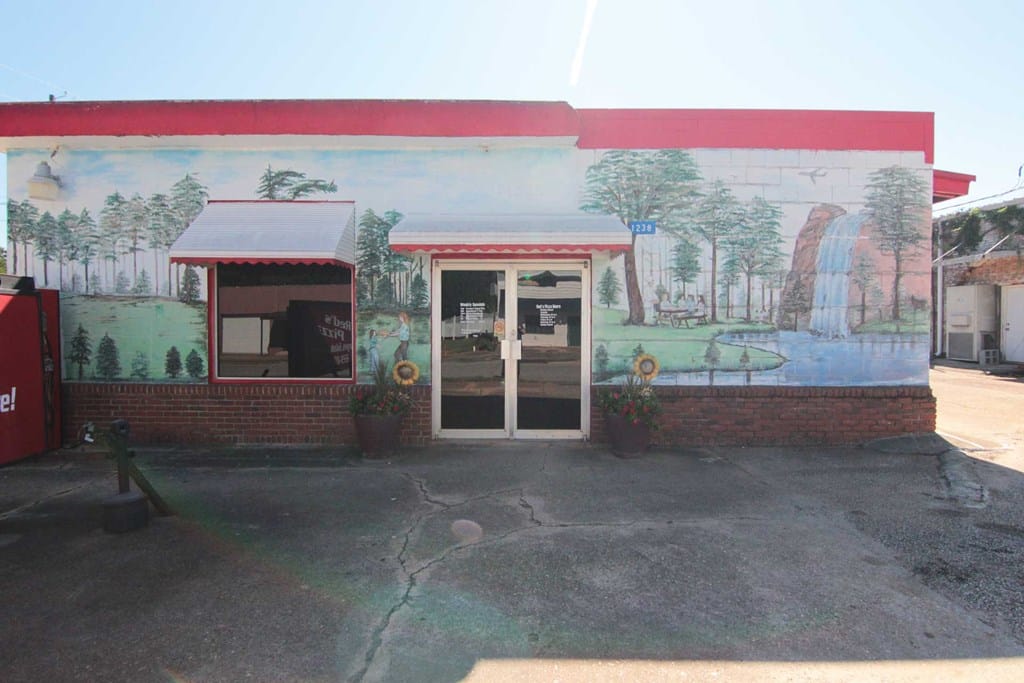 1238 Wall Street, Richland, GA, 31825 — Photo 3