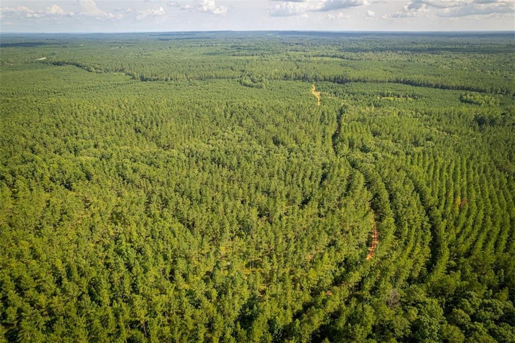 000 US HWY 431, Pittsview, AL, 36871