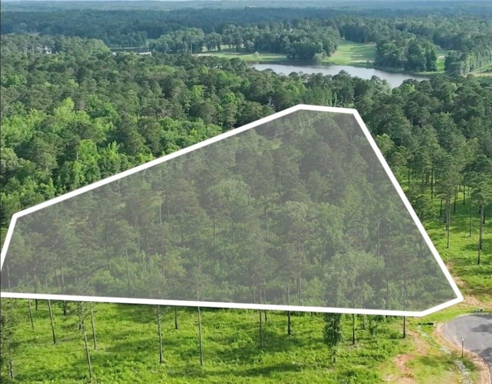 2105 Mourning Dove Lane, Opelika, AL, 36801 — Photo 2