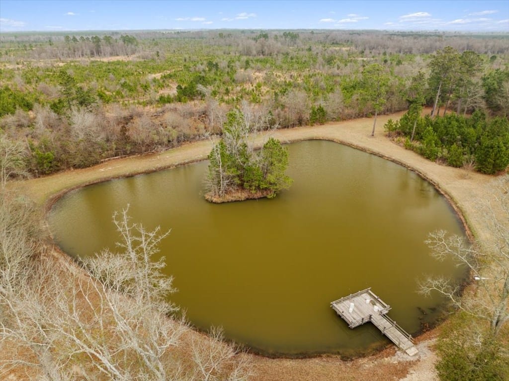 0 Blue Springs Road, Sylvester, GA, 31791