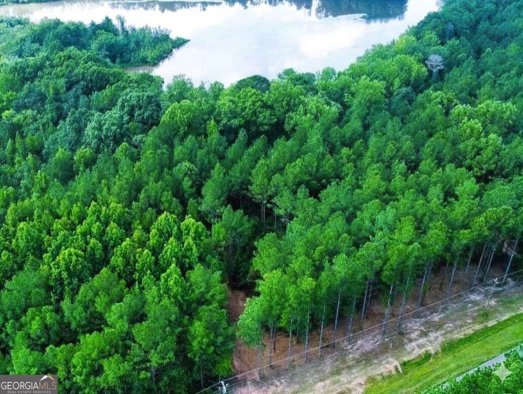 1712 Blue Creek Rd, Hogansville, GA 30230
