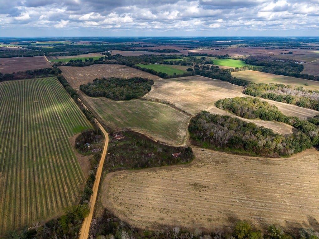 1203 Bellview Rd, Colquitt, GA 39837