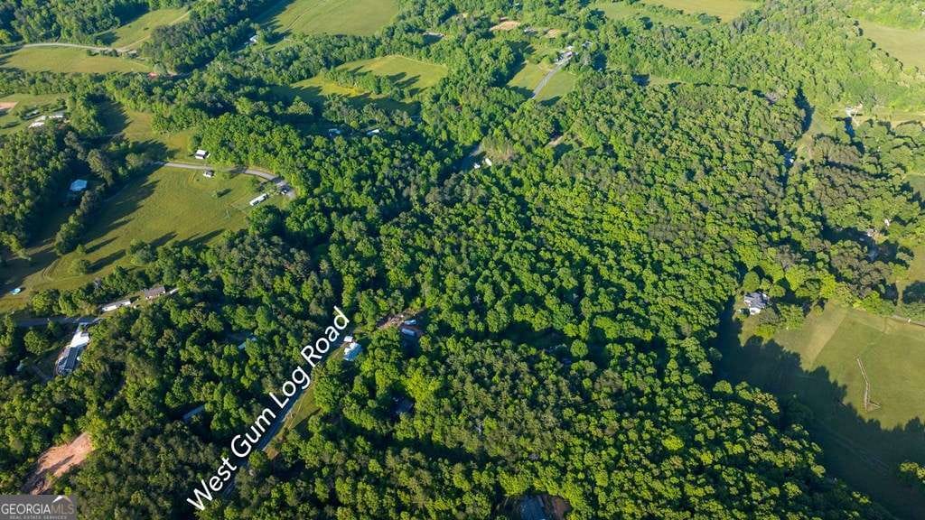 1 W Gum Log Rd, Warne, NC 28909