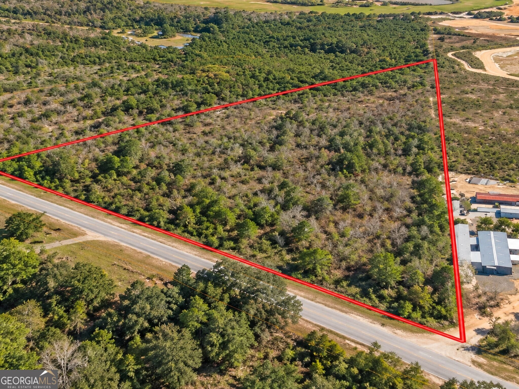 5 ACRES Henry Currington, Mauk, GA, 31058