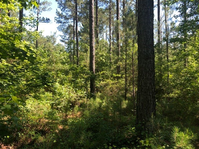 0 Highway 0103, West Point, GA, 31833 — Photo 2