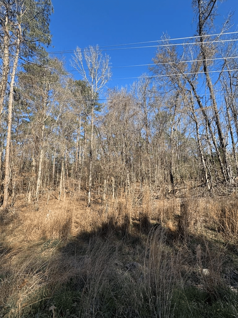 0 County Line Road, Upatoi, GA, 31829