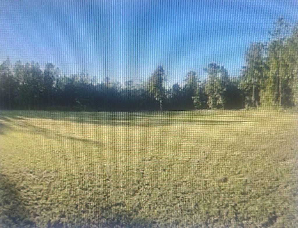 1106 Forrester Parkway, Leesburg, GA, 31763