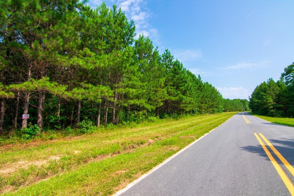 0 County Road 0071, Waverly Hall, GA, 31831