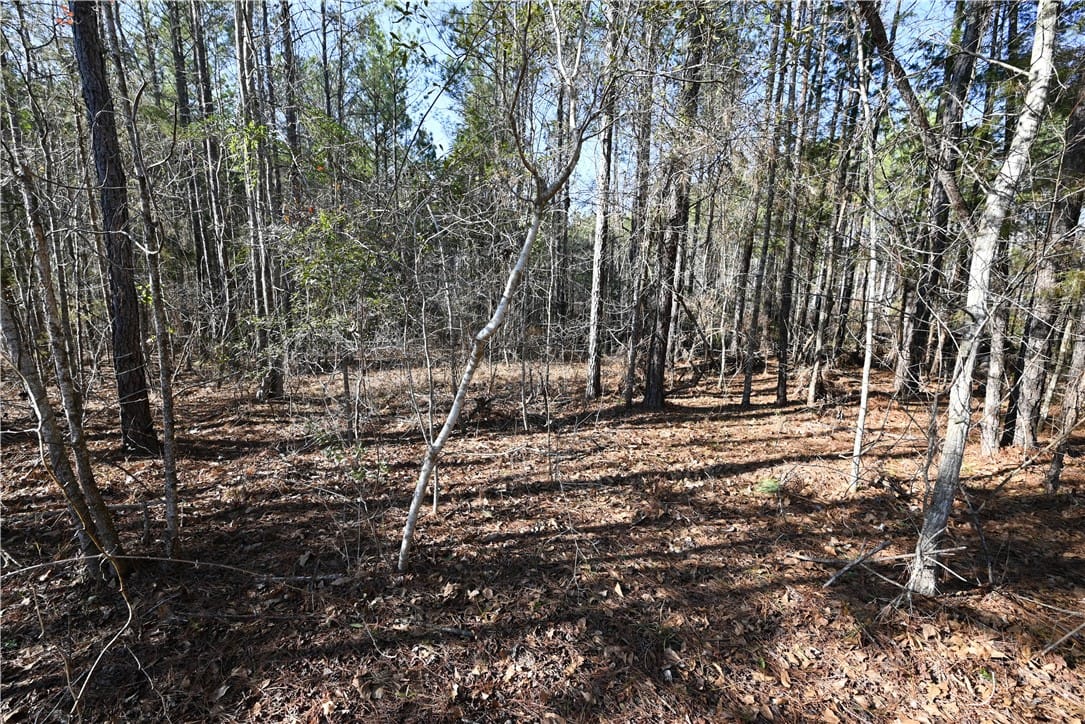 3755 RIDGELINE, Auburn, AL, 36830 — Photo 3